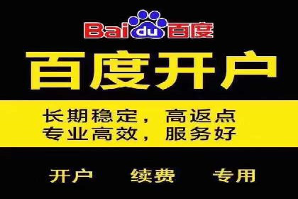 百度竞价排名机制：成功案例与策略探讨